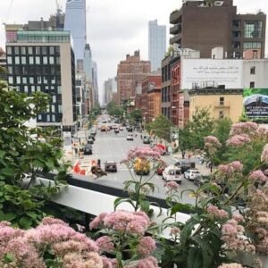 High Line + Meatpacking District + Chelsea Market 🌿